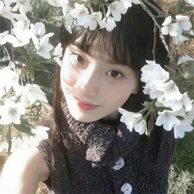 第12届中国电影华表奖